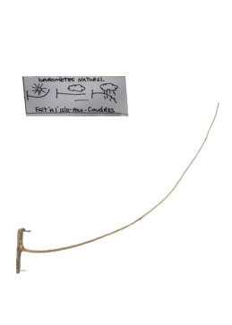 Barómetro indio en rama de avellano