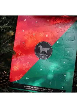 dog advent calendar