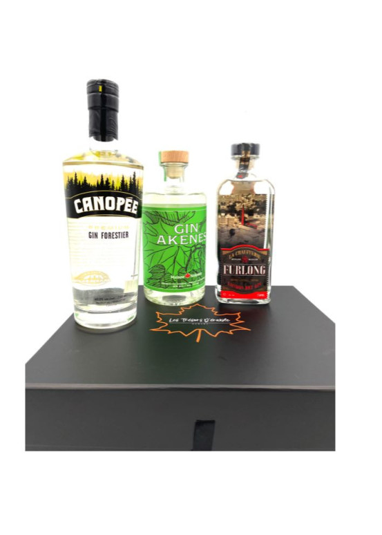 Coffret cadeau trio gin du Canada l Les Trésors d'érable