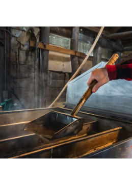 Hacer jarabe de arce en una choza de azúcar de Quebec