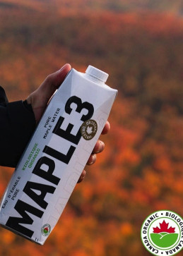 Finale Präsentation 12er-Pack Maple 3 1L, langfristige Hydration für Zuhause oder Büro