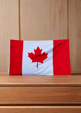 Vlag van Canada 90x150 cm in polyester