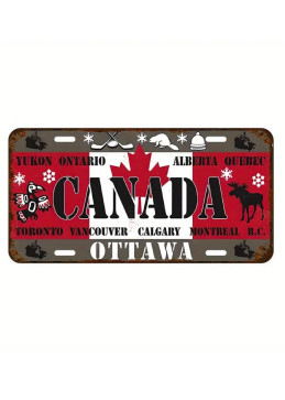 Vintage Ontario License Plate