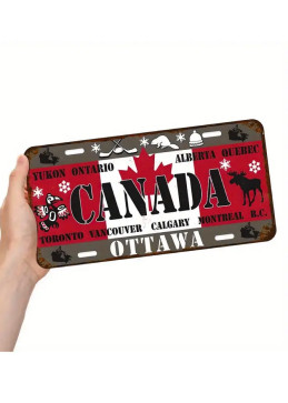 Vintage Ontario License Plate