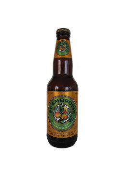 Botella de Cerveza St-Ambroise Albaricoque 341ml, cerveza afrutada canadiense 5% al albaricoque
