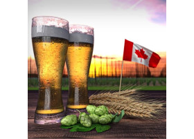 Bières canadiennes en France | Unibroue-St Ambroise | A l'érable