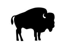 Carne de bisonte | Tesoros de arce