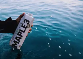 Maple water