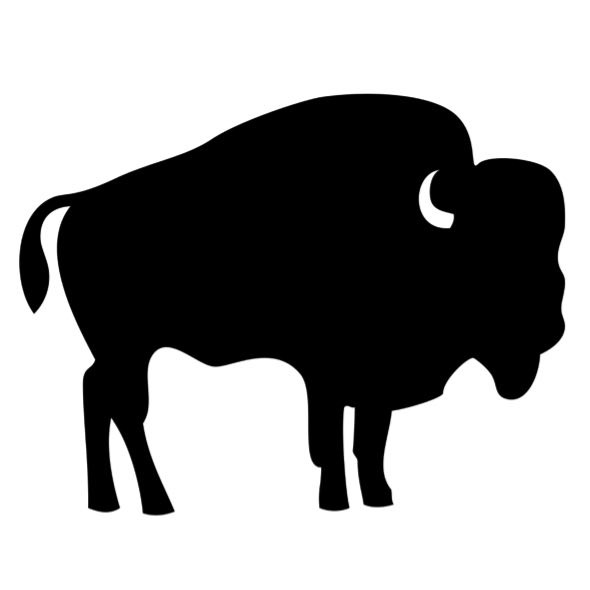 Viande de bison  Les Trésors d'Érable