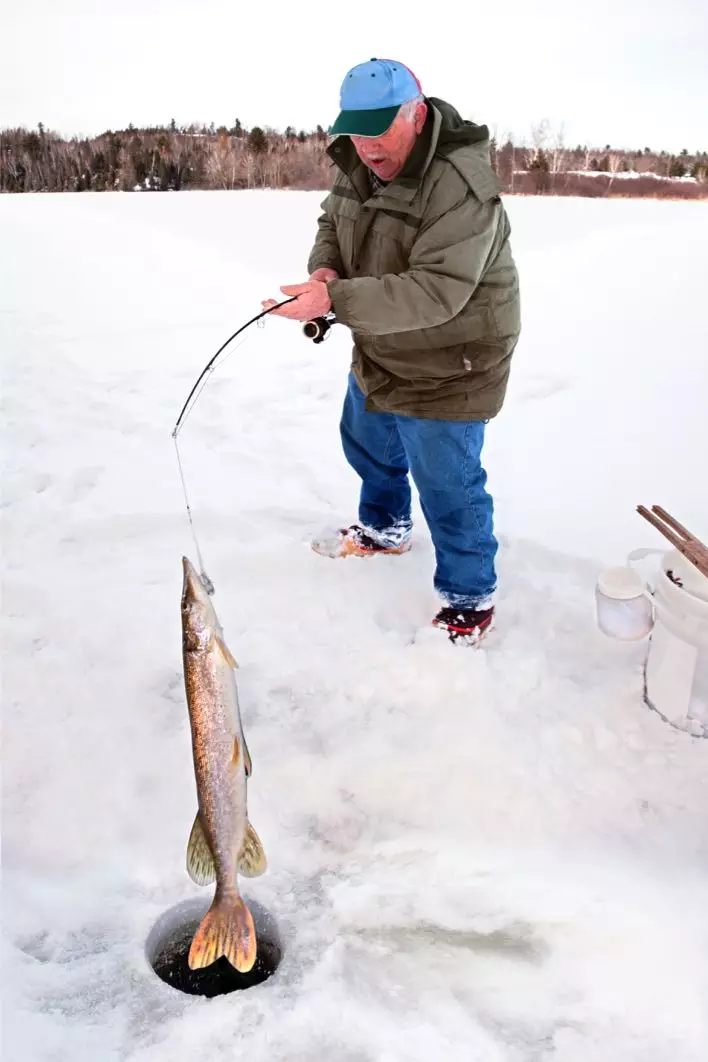 poisson sortie sous la glace