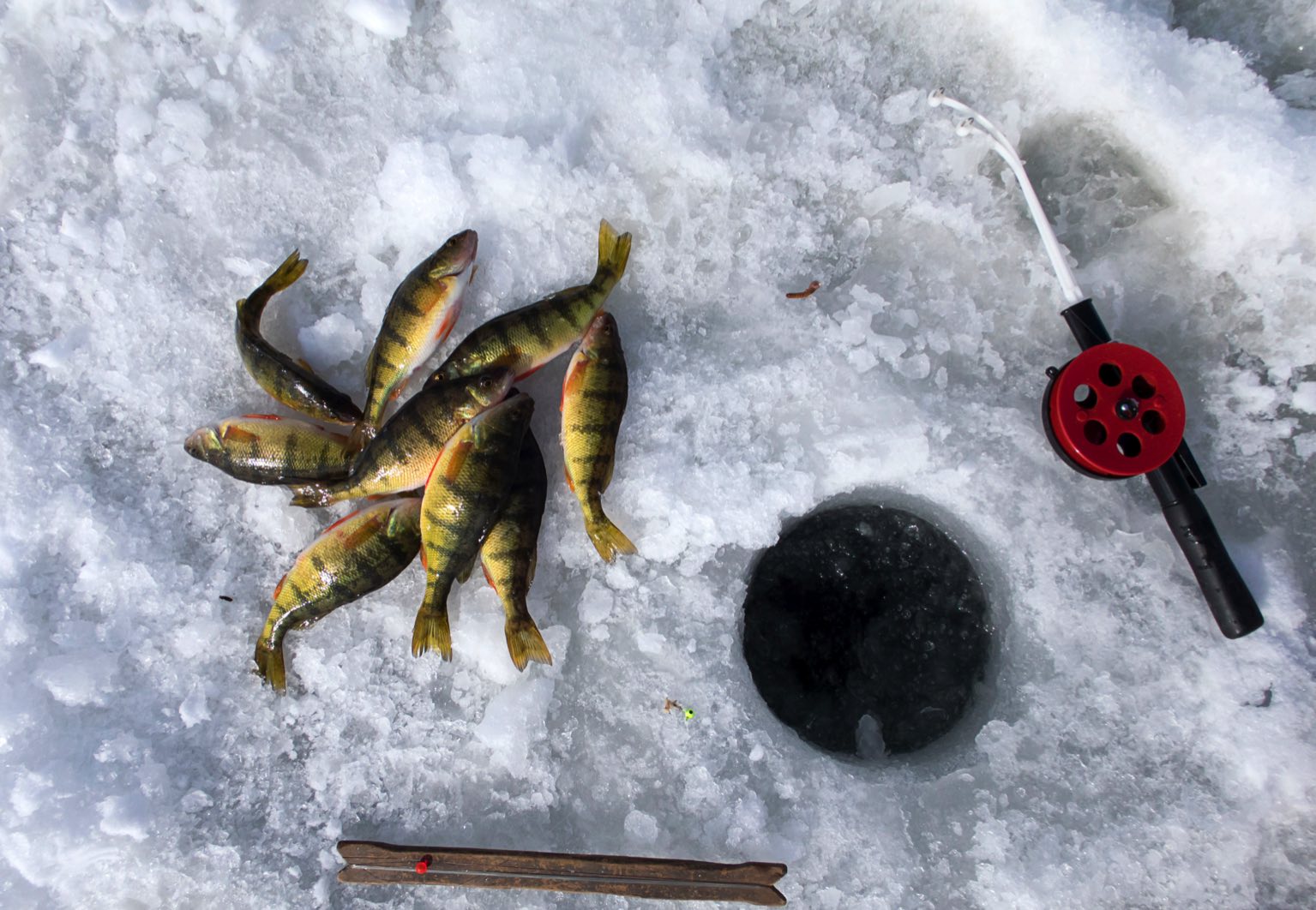 équipement pour pêcher sous la glace
