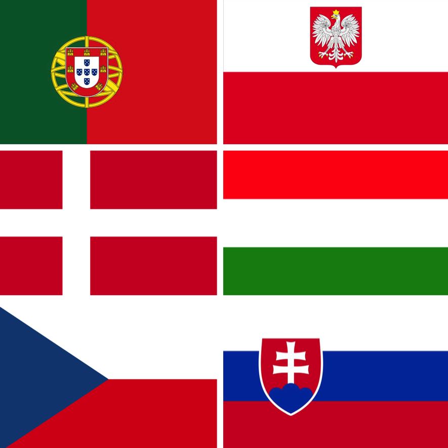 Logo Danemark Portugal