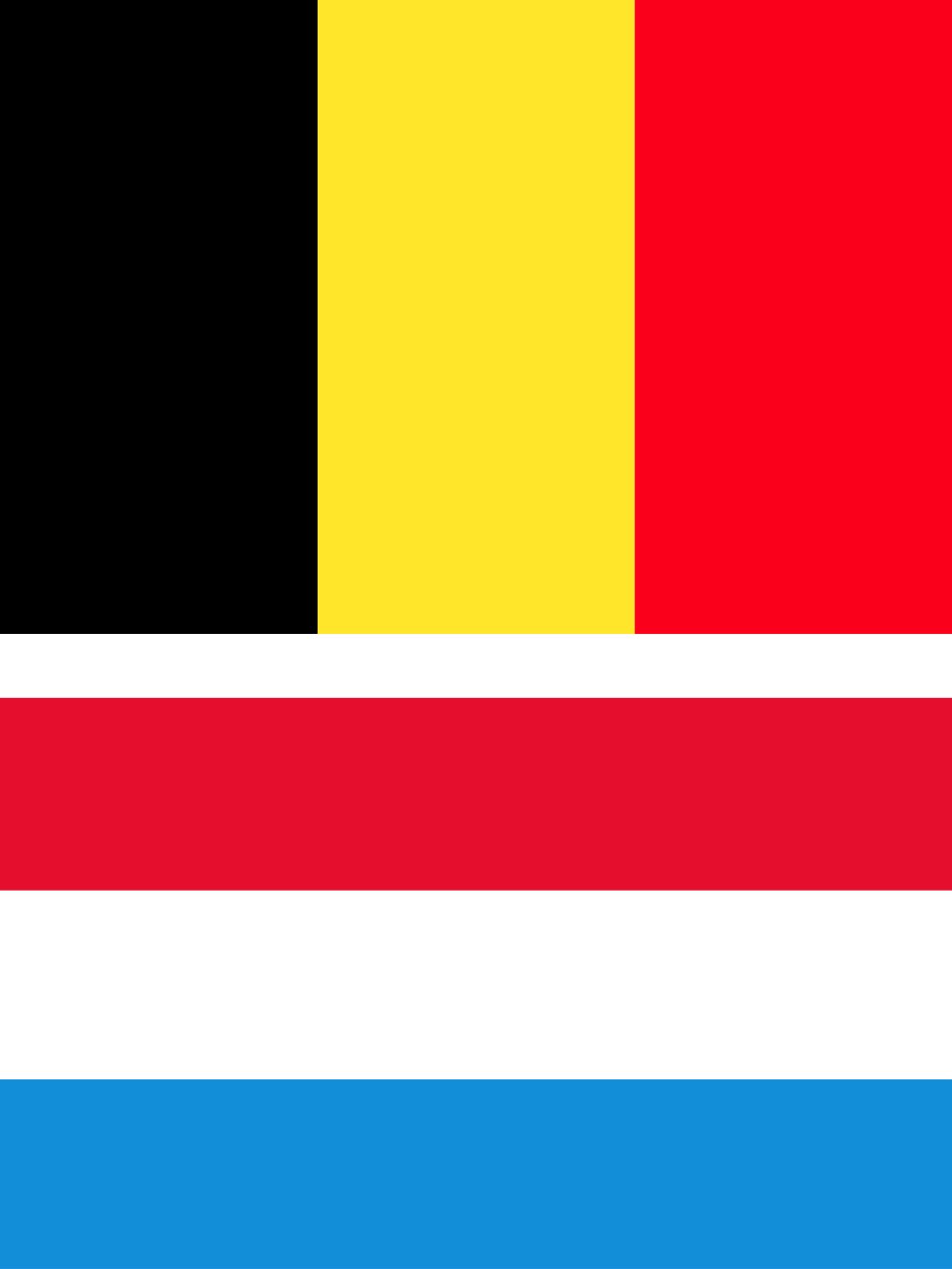 logo Belgium Luxembourg