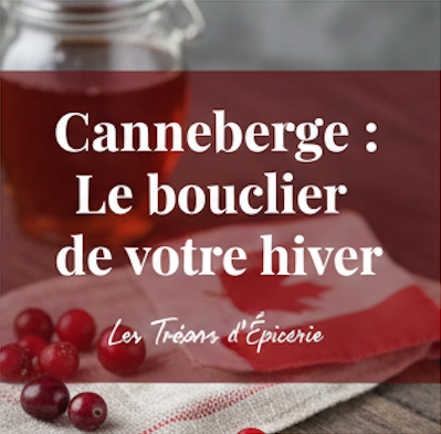 Bouclier de l'hiver