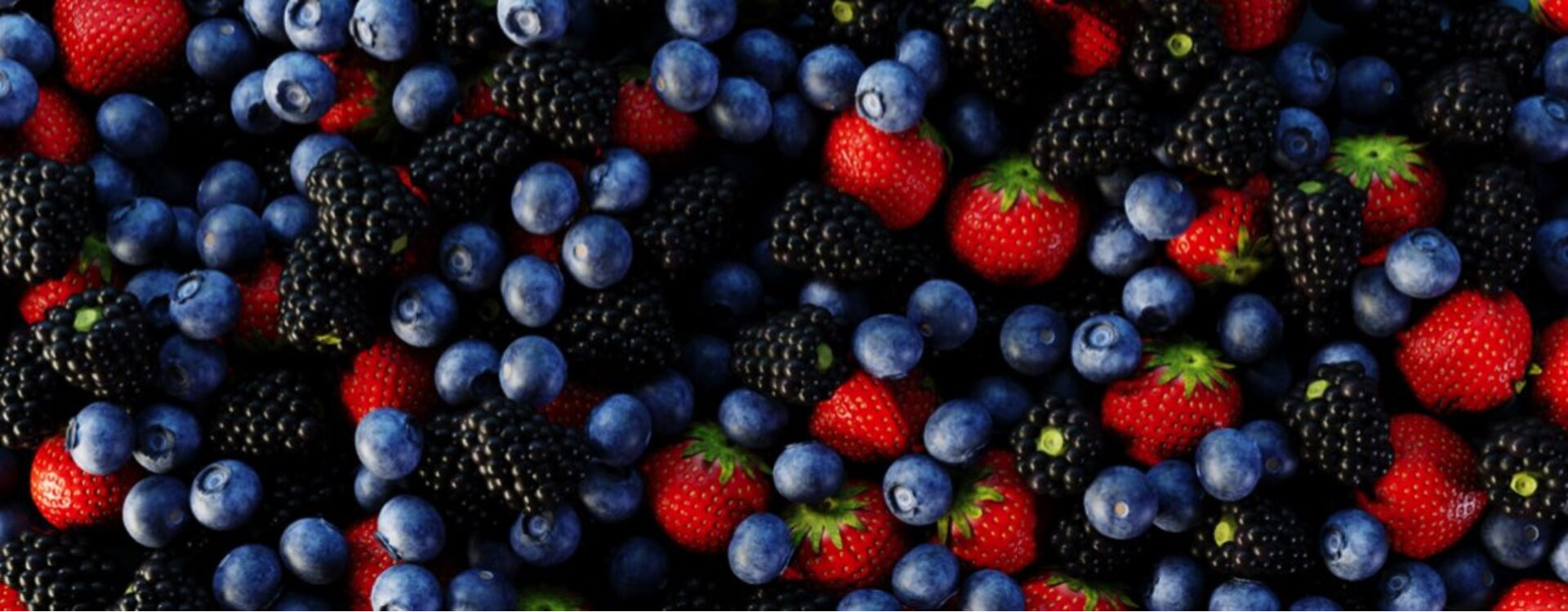 The wild berries of Canada