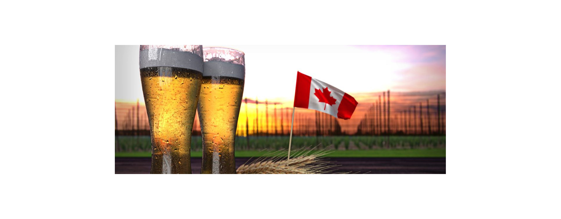 Les meilleures bières du Canada