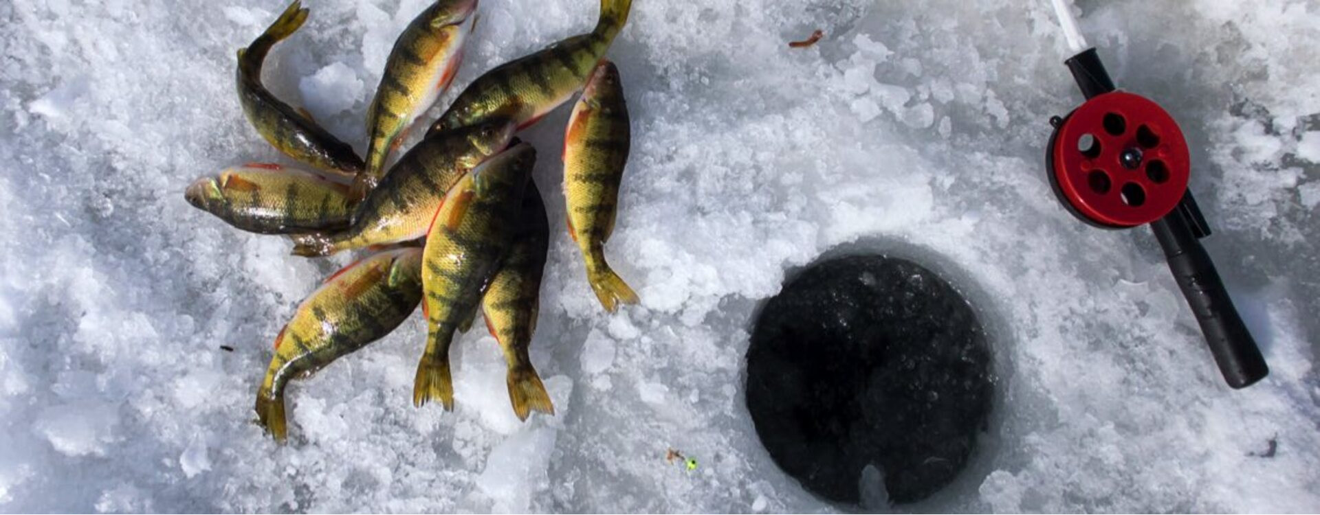 Practica la pesca en hielo en Canadá L Maple Treasures