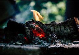 Los incendios forestales que marcaron a Canadá