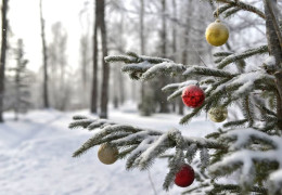 クリスマスと新年にカナダでやるべき 6 つのアクティビティ