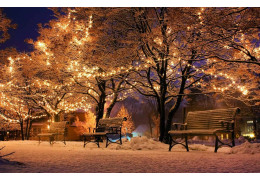 Winter lights in Canada