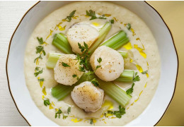 Cream of celery and scallops