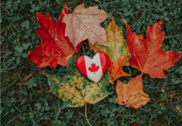 カナダの国章であるカエデの葉
