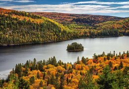 El bosque boreal canadiense