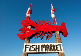 L’eldorado des homards au Canada