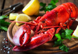 Lobster drunk at Sortilège | Canadian recipe