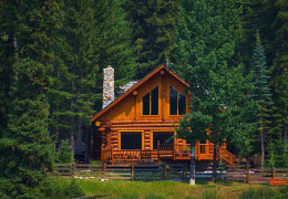 Why do Canadians build their homes out of wood?