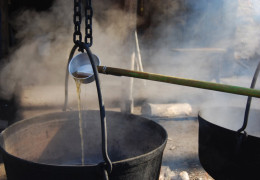 What is organic maple syrup? How is it made?