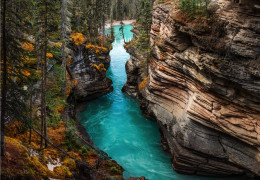 Nationaal park Jasper in Canada