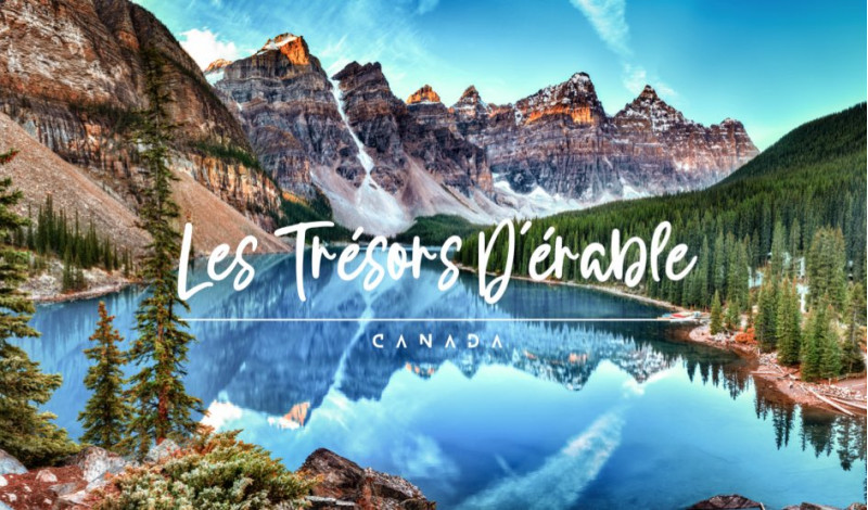 Informationsblog der Maple Treasures Site, wo Sie exklusive Informationen zu Ahornprodukten und Kanada finden